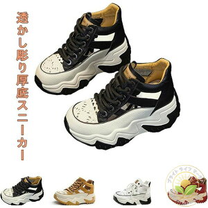 Xj[J[AfB[X bV Xj[J[ 7cm ~ߌy ɂ _炩ĒʋCɗD X ėp|[cT_ r t ʊw ʋ t@bV bV C