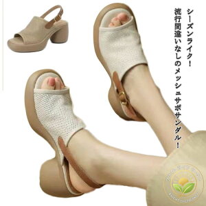 t bVT_ T_ U[ fB[X L ɂȂ O y l   킢 ɂȂ ₷ 