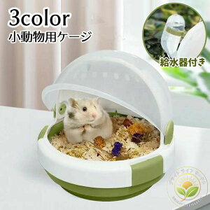 pP[W nEX L[P[X nX^[ nlY~ bg t  ʋC