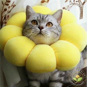 GUxXJ[ Lp p \tg Ȏ y pPA rߖh~ ޖh~ ی \ K  Ԃт^