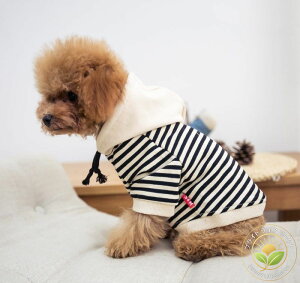  hbOEFA p[J[ Ƃ {[_[ t[h pi ybgpi   hbO ^ ^ ^ t`uhbO tu  킢  