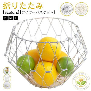 t[coXPbg ό` XeXoXPbg ʕ C[oXPbg C[{E ܂肽 oXPbg t[c{E ωɕxގ[ fBXvC ԕr ی^ t[c