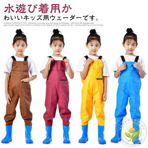 `FXgnCEF[_[ V qp c h Č^ vCEFA Cpc ̎q ꒅ tC ~J j̎q LbY C EF[_[ V V  ct 