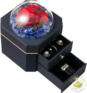 vU[uht[ WG[{bNX e ͂Ȃ ̓ v[g