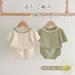 xr[ ZbgAbv ҂  V[gpcZbg xr[ 2_Zbg Ԃ p[X t  H ̎q s[X m K[Y JWA i {Q \ 