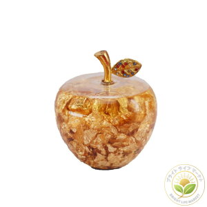 ̃S S[h ^ Abv N v[g 蕨 P[Xt ꕨ  ь t[c   S[WX a LO j v[g Mtg җ ސE ̓ hV