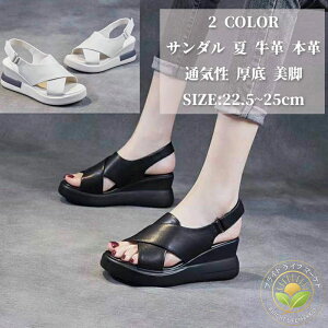 T_  r[` v fB[X {v bNX ʋC  RtH[g r ₷ JWAV[Y ~ 20 ̓ 40 30 V ĕ ubN zCg   22.5cm 