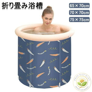 ܂ݗ |[^uoX^u l̎qSPA Z C̗ IVC ȈՕC ܂肽 RpNg ^ї rj[v[ ƒp oX^u V[[ oPc 65*7