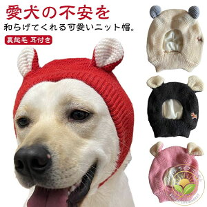 p jbgLbv  Xq  jbgX L  h t N 􂦂 ^ ^ 蕨 g  U ~ o ybg Xq uh[ S[fgo[