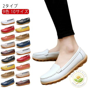 hCrOV[Y 9F [t@[ 10TCY pvX fB[X 2^Cv _炩 T_ ₷ ؂ pvX V[Y r tbg ₷C EȂ ʋ JV