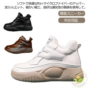 Xb| nCJbgXj[J[ fB[X  pvX O ₷ V[Y V[Y fB[XV[Y Xb|  ϖ  Xb| V[Y  u