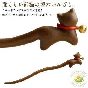 d 񂴂   p l   { 񂴂 L ˂ L  wAXeBbN ig U ܂Ƃߔ wAANZT[  d  VR JUV čՂ