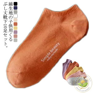 C qp 10Zbg XN[\bNX V[g\bNX LbY  t  H  ʋC WjA l ̎q j̎q xr[ AN\bNX Vv Ԃ Xj[J[\bNX