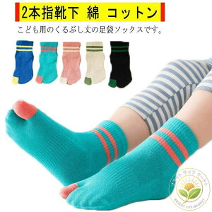 ܃\bNX LbY 2{wC Ԃ  Rbg qpC j̎q ̎q Xj[J[\bNX N[ X|[c WjA w ǂ  {w\bNX  Vv 