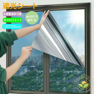 KX tB ډB ՌV[g }WbN~[ fM 100*200cm Uh~ ͂ O猩Ȃ \Ă͂ KXUh~ UVJbg OJbg ptB 