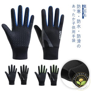 ~ LbY LbY ̎q N t[X  j̎q X|[cO[u qp h h  TbJ[  WjA ʊw ۉ ]ԃO[u LbY oR TCN X|[c 