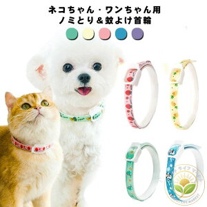 ybgp  m~ _jLp ^ ^ ^ S M L m~Ƃ 悯 h pi Lpi lR  qpi ݂̂Ƃ }_jƂ pi ybgpi Ob