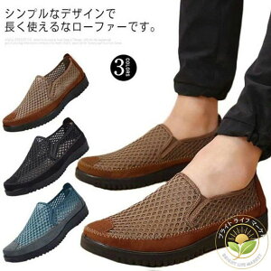 [t@[ Y j am C bV JWA V[Y y ʋC ₷ Vv XG[h t Xb| JV Xj[J[  O[ ubN uE ʋ 