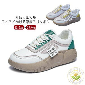 Xj[J[  fB[XXj[J[ O C y y RtH[gV[Y Xb| 4cm V[Y fB[X Xj[J[ Ȃ ₷ ɂȂ ₷ X