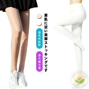 St XgbLO VN^b`   tďHp Xgb` ʋCQ  Lk ^ StEFA AEghA  zCg X|[cXgbLO fB[X F UVJbg ⊴ 