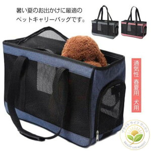 Lp L[obO bV ʋC tėp o Oop p ^ ybgL[obO  | LTCY MTCY  Lpi ܂肽 ΂ ybgpi ʉ@ AEghA