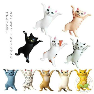 ①Ƀ}Olbg lR5CZbg ̃fUC   n} zCg{[h  ItBX v[g 