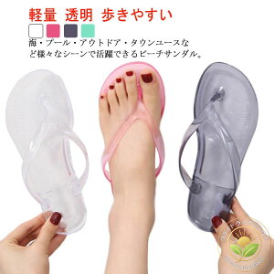 NA gOT_ fB[X r[`T_ tbg  ₷ C ɂȂ W[  킢 y  r[T 傫TCY Vv ꂢ ؂ ][g