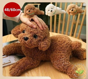 ʂ  ܂   ̂ʂ  ӂӂ _炩 킢  NbV av[g CeA ObY 蕨 NX}X Cǂ n 