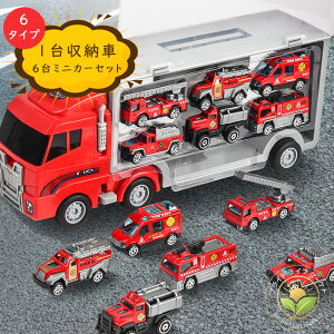 ~jJ[ Zbg 6 ^ H    gCJ[ 傫 v j̎q