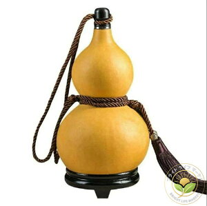 ׈  Ђ傤  qbvtXR IWîЂ傤̐FAAϋv̂ gȃX^CAyʂŁA荂C[U邱Ƃł܂tSRȐ