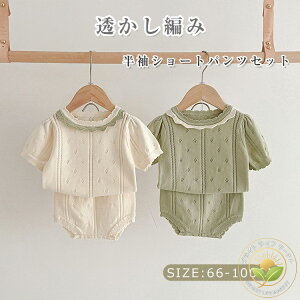 xr[ ZbgAbv ҂  V[gpcZbg xr[ 2_Zbg Ԃ p[X t  H ̎q s[X m K[Y JWA i {Q \ 