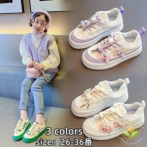 Xj[J[ LbY q C ̎q j̎q y xr[C V[Y ^C WjA qǂC LbYC Ԃ  X|[c    w ۈ牀 ct w  a 