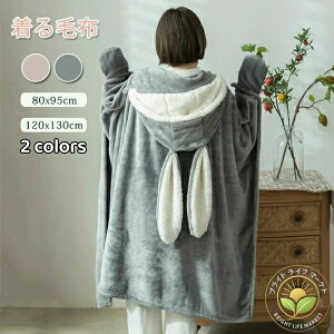  ѕz uPbg ӂӂ |ѕz Ђ| tѕz |Pbgt  ̎  e g {^t uPbg [EFA |  P