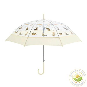 낱lR P86cm fB[X 傫 tHgWFjbN   ʐ^ vg n OXt@Co[ v    