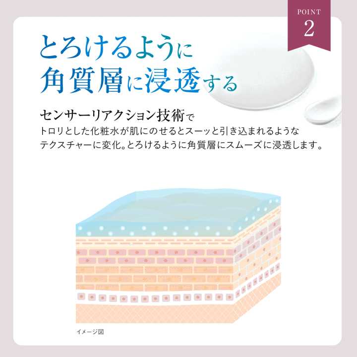 楽天市場】＼最大7%OFF&P45.5倍☆限定クーポン配布中／【化粧水