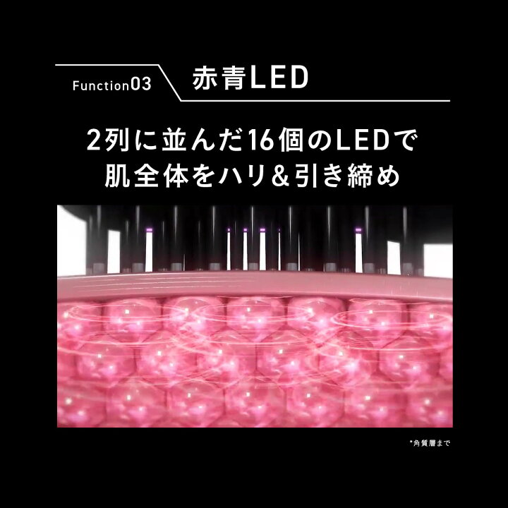 楽天市場】【P20倍+特典付き2日9:59ﾏﾃﾞ】【リニューアル！】【公式 