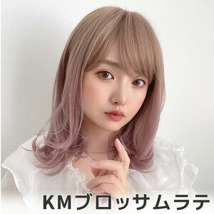 ujAXJ[~fBAv EBbO fB[X ~fBA tEBbO Z~O R ECbO Xg[g J[    ×pEBbO  RXv nCg[J