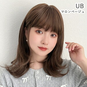 y SALEI ŏI݌ɏ z×pEBbO A 2wayoO C[ EBbO R ~fBA Z~O tEBbO fB[X ×p A OڎR ێR lH t