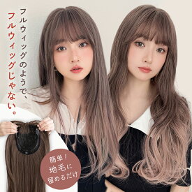 新感覚ウィッグ 「フルスタイルピース」 ウィッグ ロング 部分ウィッグ 前髪ウィッグ エクステ ヘアピース 自然 バレない 医療用ウィッグ フルウィッグ ハーフウィッグ 医療用 ウイッグ インナーカラー ハイライト コスプレ 白髪隠し 薄毛 つけ毛 FKR
