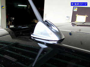 y BRIGHTZ TN B6AW AeiJo[ TeVo[ z y ANTENNA|045 z