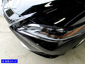 y BRIGHTZ NTX ES300h AXZH10 AXZH11 ʃXeXbLwbhCgA_[ACC 2PC z y HEAD|ETC|054 z AXZ H10 H11 10 11 ES300 ES 300 300h LEXUS