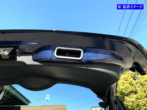 y BRIGHTZ LbNX P15 XeXAQ[gvnhJo[ TeVo[ z y INT|ETC|487 z 15 RP15 SNP15