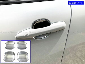 y BRIGHTZ J[NX 10 11 15 bLhAnhJo[ M z y DHC|SARA|138 z ZSG10 ZVG11 ZVG15