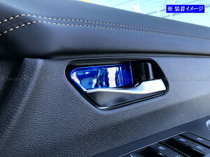 y BRIGHTZ Zi C28 XeXCi[hAnhJo[ M 2PC  z y INS|DHC|311 z C28 GFC28 GC28 FC C 28