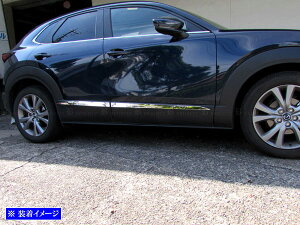 y BRIGHTZ CX|30 DM ʃXeXbLTChhA[ 4PC z y SID|MOL|134 z DM8P DMEJ3P DMEP DMFP DM8 DME DMF CX 30