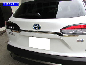 y BRIGHTZ J[NX 10 11 15 ʃXeXbLgNbh[ z y TRU|MOL|211 z ZSG10 ZVG11 ZVG15