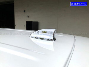 y BRIGHTZ WR-V DG5 bLAeiJo[ z y ANTENNA|052 z WRV DG