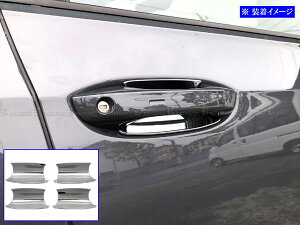 y BRIGHTZ StVIII CDD bLhAnhJo[ M z y DHC|SARA|150 z CDDLA CDDFY CDDTT CDDTS tHNX[Q VW St St8 8 VIII