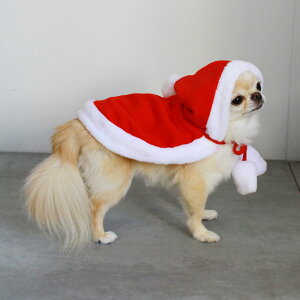 y}\N[|zz|CgUPzLpRXv ybg 蕨 ybgXq L Xq T^N[X RXv NX}X  T^ ||t NX}Xc[ T