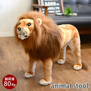 yLbsOzyzCI@֎q@ ʂ ɂ܂Xc[@@@ʂ݁@v[g@@ԁ@Mtg@LbY@q@@CX@ 